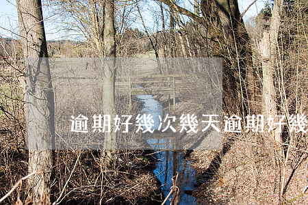 逾期好幾次幾天(逾期好幾次幾天算逾期)