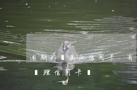逾期好辦其他信用卡-有信用卡逾期還可以辦理信用卡嗎