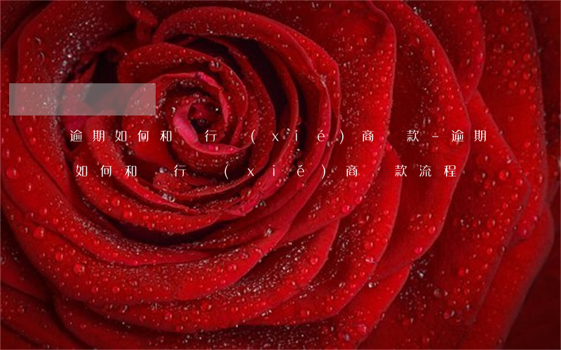 逾期如何和銀行協(xié)商還款-逾期如何和銀行協(xié)商還款流程