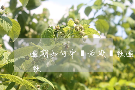 逾期如何申請延期還款(逾期怎么申請延期還款)