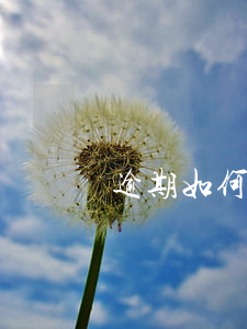 逾期如何貸款(逾期如何貸款)