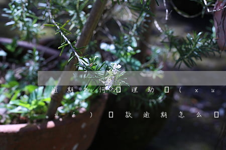 逾期如何辦理助學(xué)貸款(助學(xué)貸款逾期怎么補(bǔ)救)