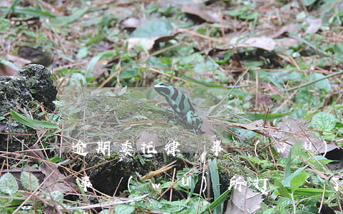 逾期委托律師事務(wù)所騙局(逾期律師事務(wù)所打電話了)