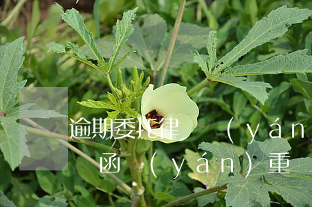 逾期委托律師嚴(yán)重嗎 逾期收到律師函嚴(yán)重嗎