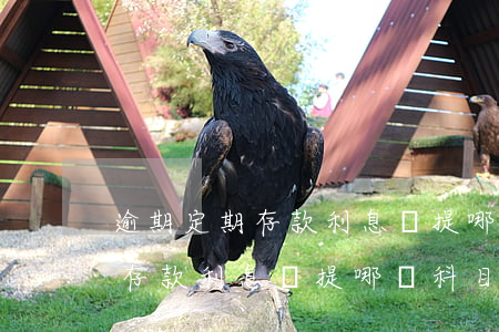 逾期定期存款利息計提哪個科目-逾期定期存款利息計提哪個科目的