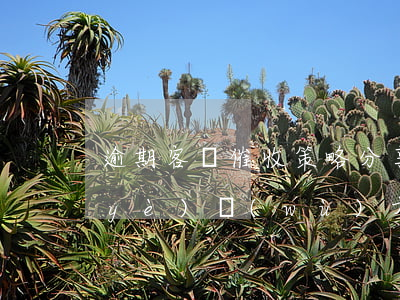 逾期客戶催收策略分享(信用卡逾期催收業(yè)務(wù)方案)