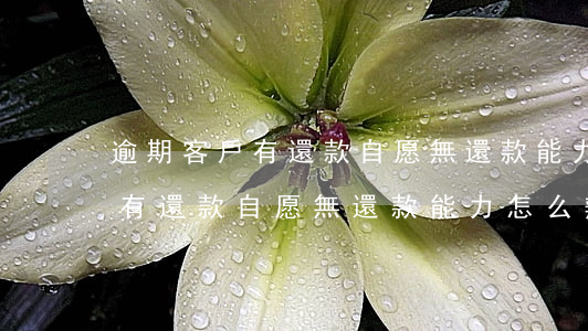 逾期客戶有還款自愿無還款能力-逾期客戶有還款自愿無還款能力怎么辦
