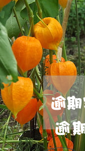 逾期客戶負(fù)債多怎么讓他有錢還-逾期客戶負(fù)債多怎么讓他有錢還貸款