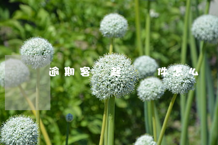 逾期客戶起訴條件(怎么處理逾期時間長的客戶)
