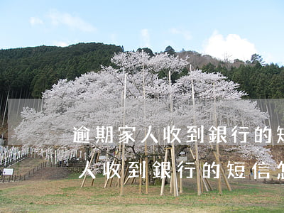 逾期家人收到銀行的短信怎么處理-逾期家人收到銀行的短信怎么處理呢