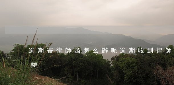 逾期寄律師函怎么辦呢(逾期收到律師函 怎么辦)