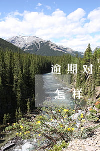 逾期对贷款买车有影响吗(贷款买的车逾期会怎样)