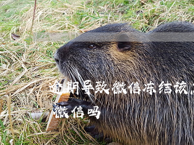 逾期导致微信冻结该怎么解冻(逾期了会冻结微信吗)