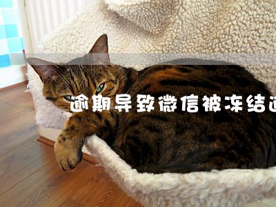 逾期导致微信被冻结(逾期导致微信被冻结)
