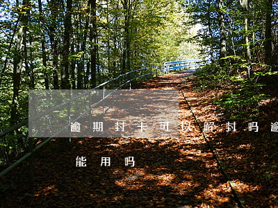逾期封卡可以解封吗(逾期卡片被停了还了还能用吗)