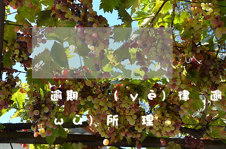 逾期專業(yè)律師 逾期被交律師事務(wù)所處理