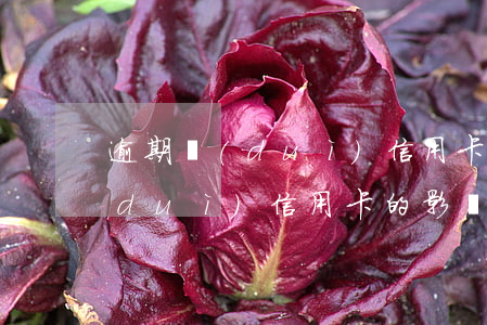逾期對(duì)信用卡的影響-逾期對(duì)信用卡的影響有哪些