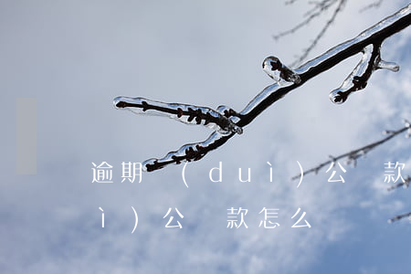 逾期對(duì)公還款什么意思(對(duì)公還款怎么還)