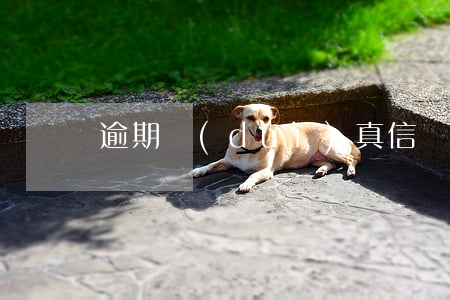 逾期對(duì)真信