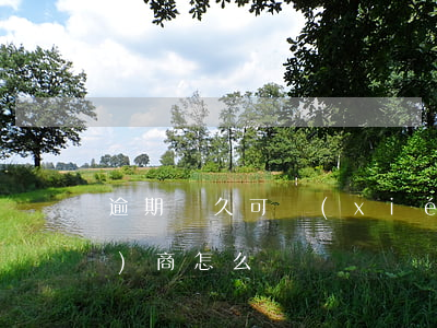 逾期對久可協(xié)商(逾期協(xié)商怎么說)