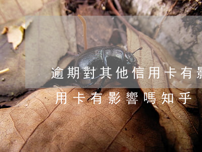 逾期對其他信用卡有影響嗎-逾期對其他信用卡有影響嗎知乎