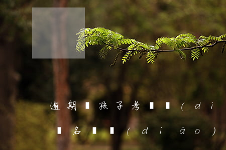 逾期對孩子考選調(diào)生有影響嗎(報名選調(diào)生可以曠考嗎)