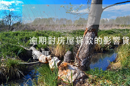 逾期對房屋貸款的影響(貸款逾期對買房有影響嗎)