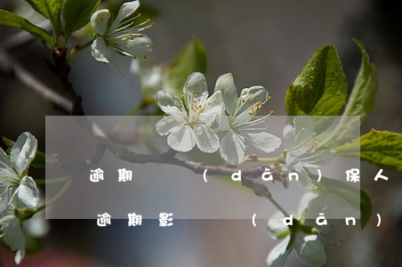 逾期對擔(dān)保人有沒有影響（信用卡逾期影響擔(dān)保嘛）