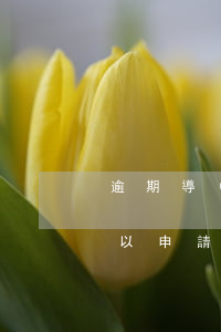 逾期導(dǎo)致信用卡不能用(有逾期可以申請信用卡嗎)