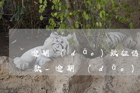 逾期導(dǎo)致征信差但是一直都有還款-逾期導(dǎo)致征信差但是一直都有還款記錄