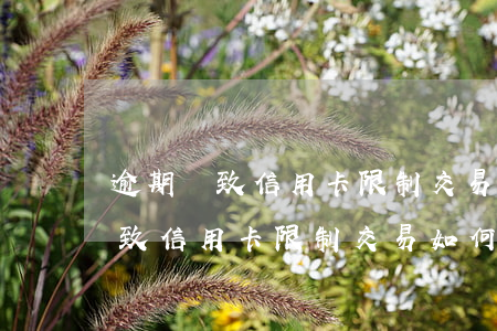 逾期導致信用卡限制交易如何解決-逾期導致信用卡限制交易如何解決呢
