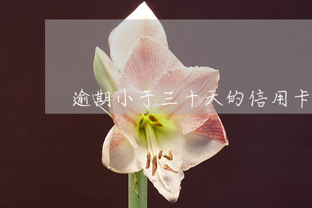 逾期小于三十天的信用卡(信用卡逾期十幾天)