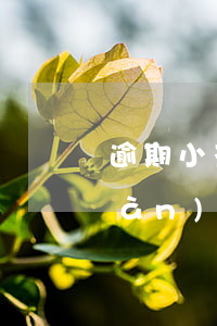 逾期小花錢包能能貸款么(小花錢包現(xiàn)在還放款嗎)