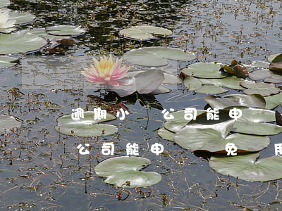 逾期小貸公司能申請減免費用嗎-逾期小貸公司能申請減免費用嗎知乎