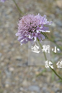 逾期小額貸款信用卡受不受影響-逾期小額貸款信用卡受不受影響呢