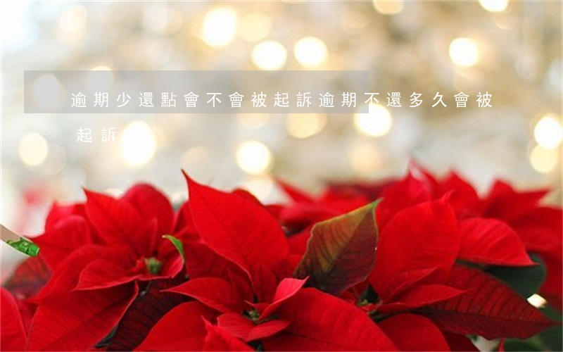 逾期少還點會不會被起訴(逾期不還多久會被起訴)