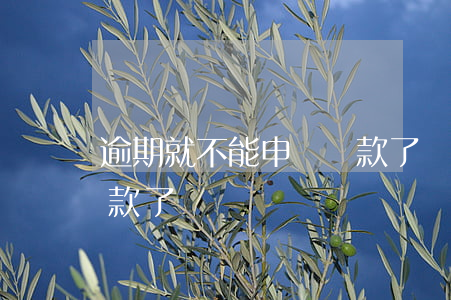 逾期就不能申請貸款了嗎(逾期就不能申請貸款了嗎)