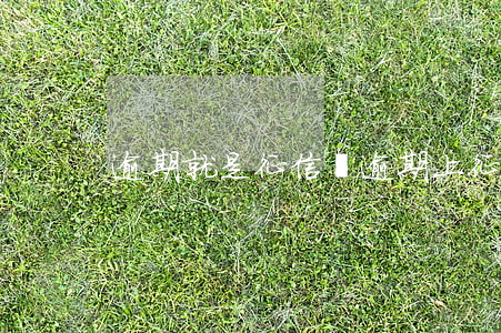 逾期就是征信嗎(逾期上征信嗎)