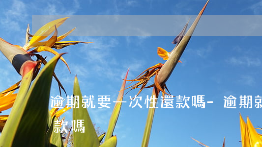 逾期就要一次性還款嗎-逾期就要一次性還款嗎?