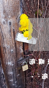 逾期就逾期吧別再拆東墻補(bǔ)西墻了-逾期就逾期吧,別再拆東墻補(bǔ)西墻了