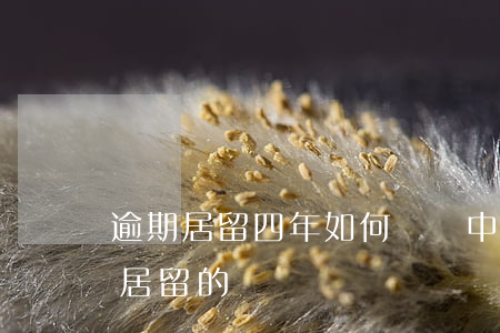逾期居留四年如何處罰(中國(guó)逾期居留的處罰)