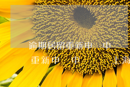 逾期居留重新申請中國簽證上海-逾期居留重新申請中國簽證上海怎么辦