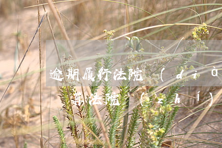 逾期履行法院調(diào)解書利息怎么計算(法院執(zhí)行逾期利息計算)