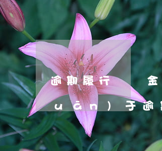逾期履行違約金法律規(guī)定 關(guān)于逾期違約金的相關(guān)法律