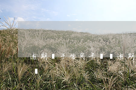 逾期屬于信用卡詐騙(逾期屬于信用卡詐騙罪嗎)