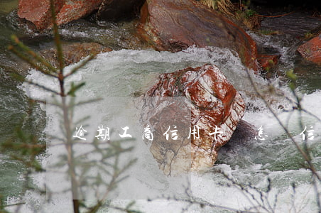 逾期工商信用卡會怎樣(信用卡逾期怎么辦)