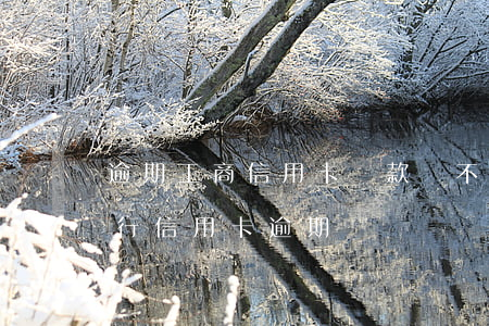 逾期工商信用卡還款還不進(jìn)去(工行信用卡 逾期)