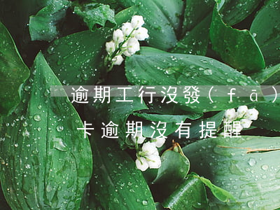 逾期工行沒發(fā)信用卡賬單(工行信用卡逾期沒有提醒)