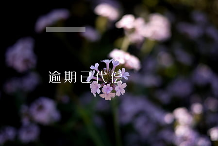 逾期已代偿