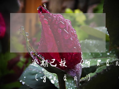 逾期已授權(quán)戶籍機(jī)關(guān)啟動(dòng)訴訟流程-逾期已授權(quán)戶籍機(jī)關(guān)啟動(dòng)訴訟流程是什么